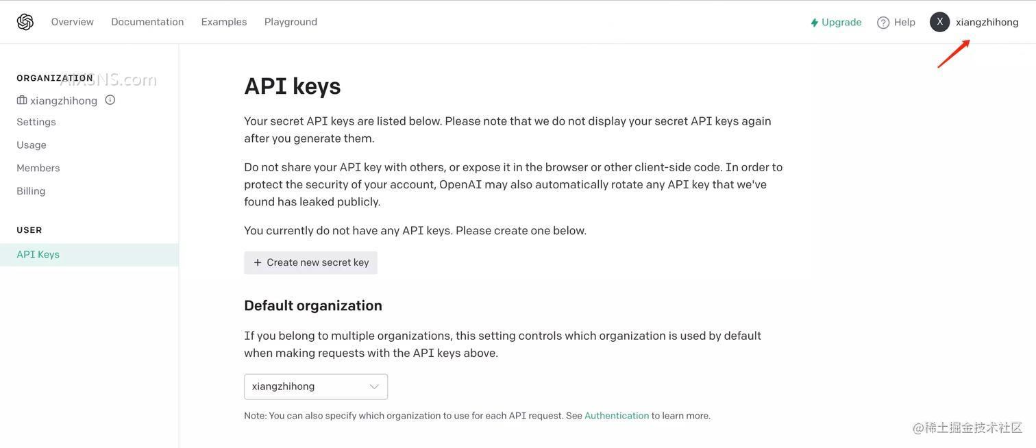 利用OpenAI API创建图像生成器