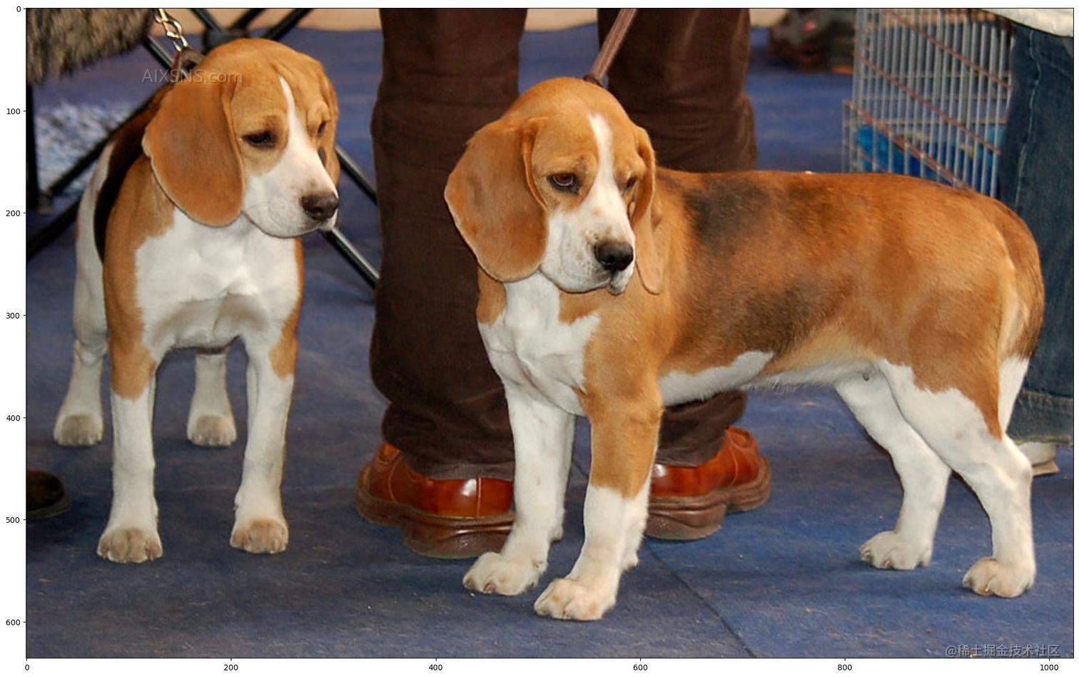 使用TensorFlow中心点检测模型进行对象检测